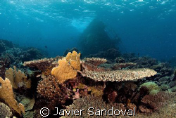 kormoran Wreck Tiran island Egypt by Javier Sandoval 